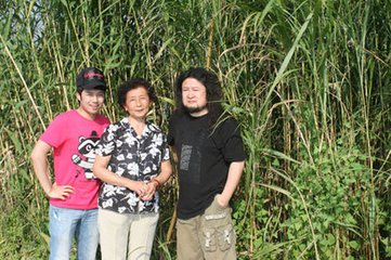 t017aa6a882174e4e86.jpg