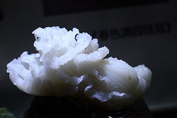 t0140a5bc836a45e39e.jpg