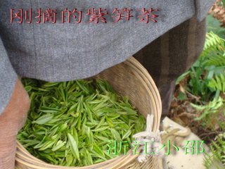 t01d70a6bef2471bbb2.jpg