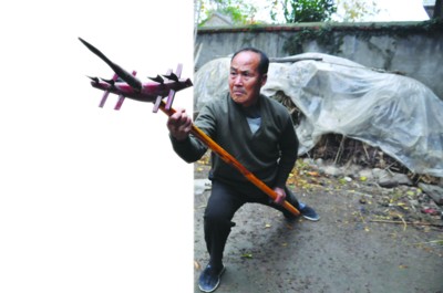 章根苗.jpg