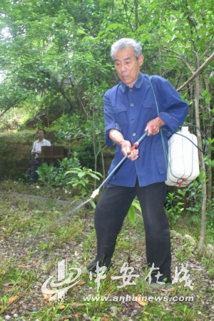 何云峙.jpg
