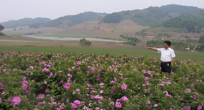 20140527155303_6718.jpg