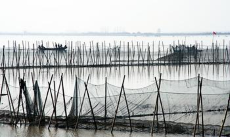 2013092560978889.jpg