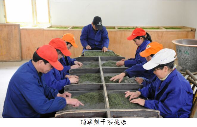 绿茶制作技艺（瑞草魁）.jpg