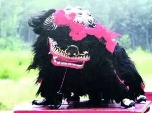 杨敬伟.jpg