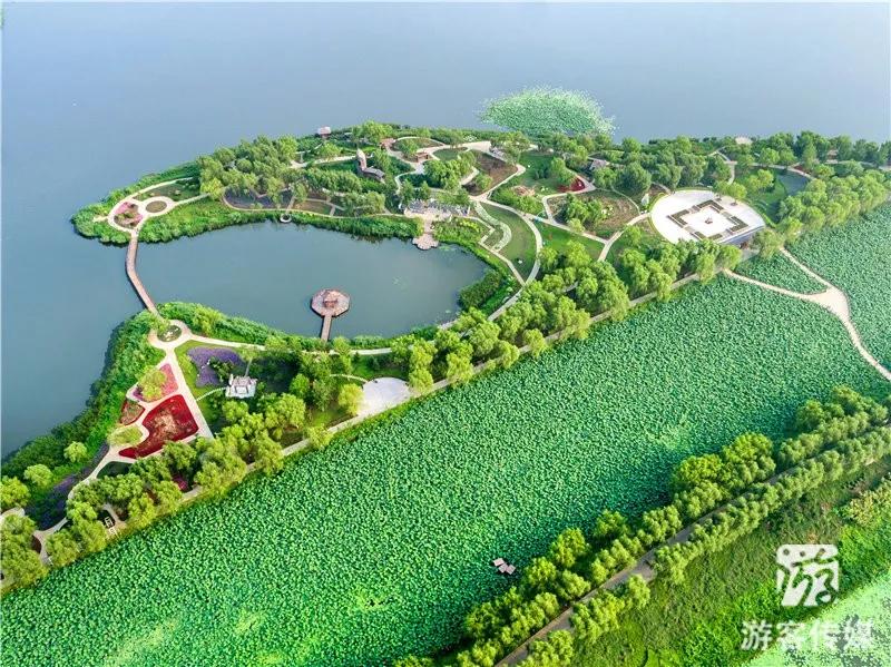 铁岭莲花湿地景区3.jpg