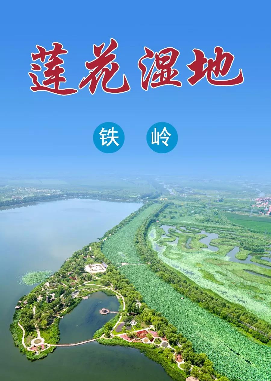 铁岭莲花湿地景区.jpg