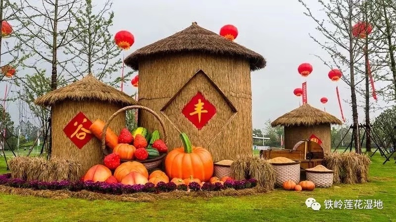 7月13日中国·铁岭第七届荷花文化旅游节盛大开幕20.jpg