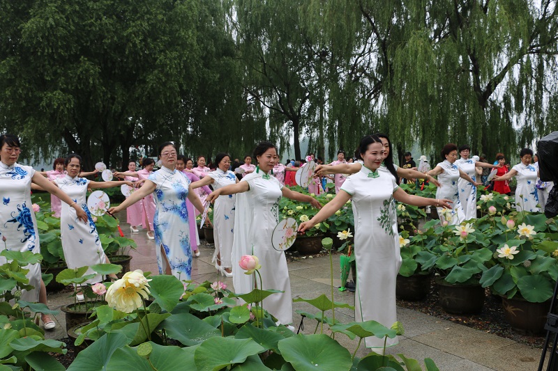 中国•铁岭第七届荷花文化旅游节在铁岭莲花湖湿地公园盛大开幕5.JPG