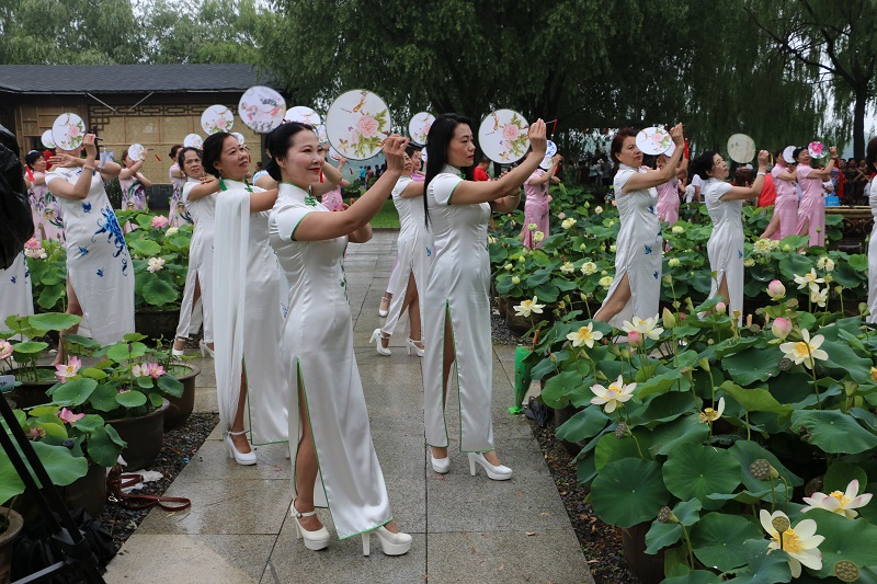 中国•铁岭第七届荷花文化旅游节在铁岭莲花湖湿地公园盛大开幕6.JPG