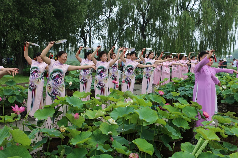 中国•铁岭第七届荷花文化旅游节在铁岭莲花湖湿地公园盛大开幕7.JPG