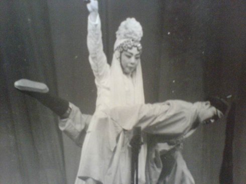 马蓝鱼.jpg