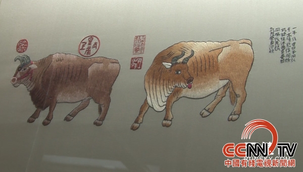 宁文丽9.jpg