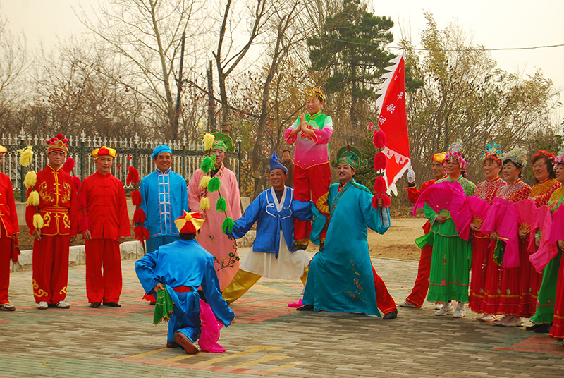 2009年10月28日八鞭八花——“拜相”（摄影：赵霁虹）.JPG