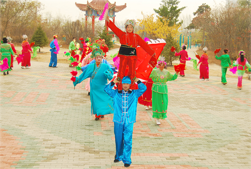 2009年10月28日八鞭八花——“节节高”（上象）（摄影：赵霁虹）.jpg