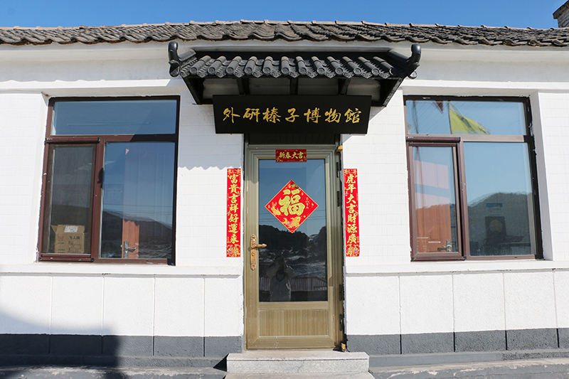2022年1月29日外研传媒拍摄于铁岭中榛阁林业有限公司-铁岭首家榛子博物馆.JPG
