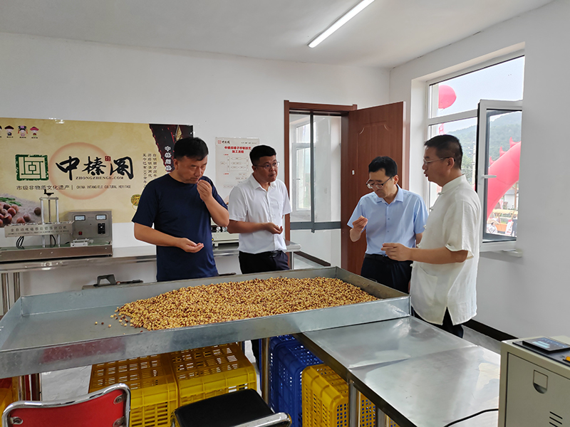 领导参观中榛阁 (5).jpg