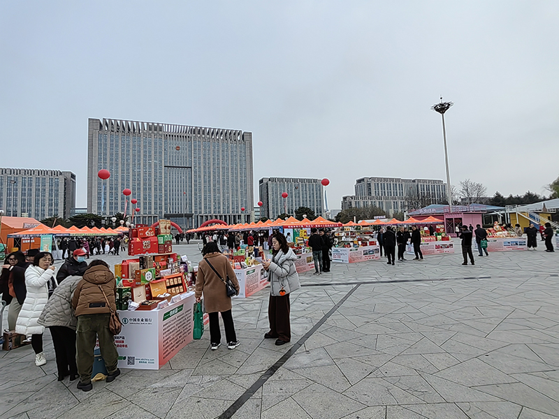 IMG_20241108_091720.jpg