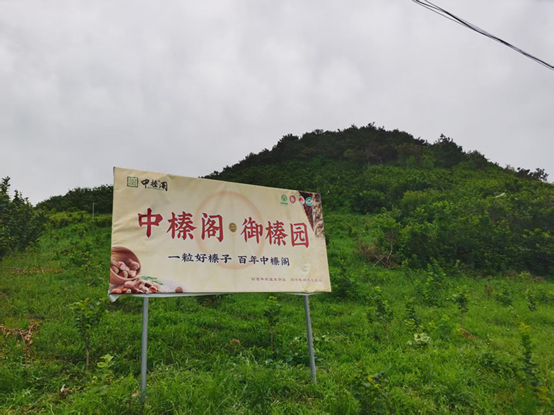 微信图片_20260625152158_311_169.jpg