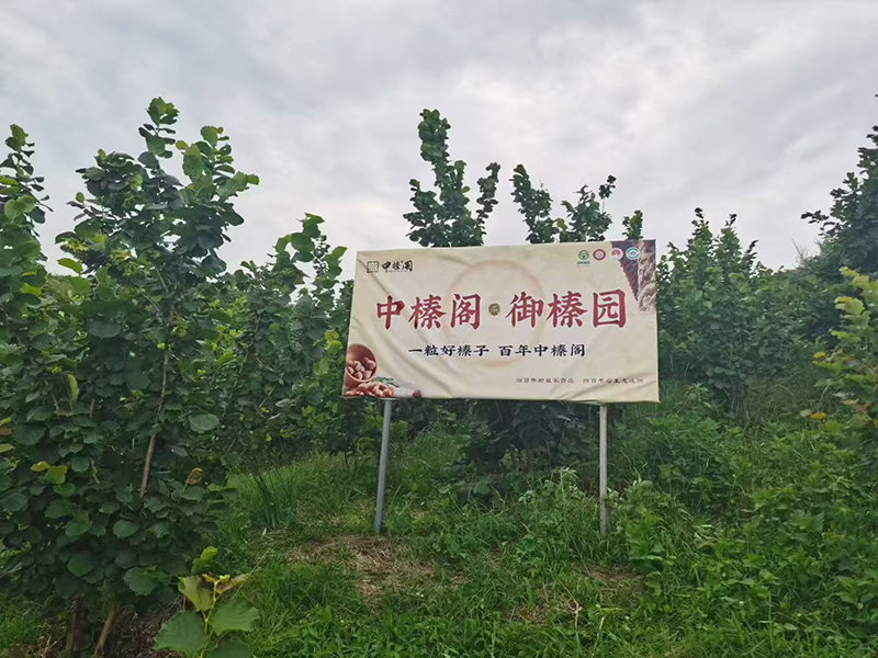 微信图片_20260625152201_312_169.jpg