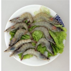 青虾   十只 铁岭桂圆火锅 传统技艺 美食