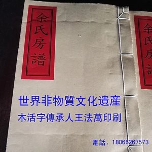 东源木活字 宗谱 东源...