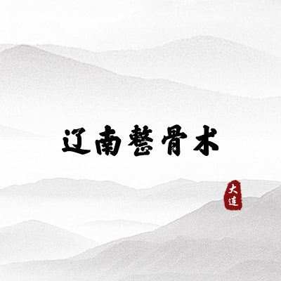 辽南整骨术（大连）