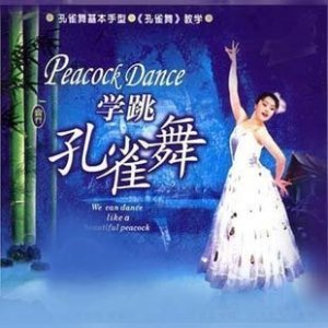 傣族舞教学 民族舞蹈 学跳孔雀舞DVD新品光盘碟片视频教学光碟